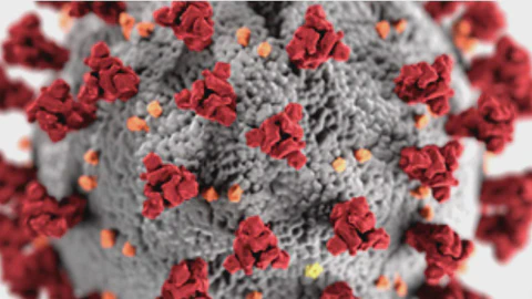 Visualizing COVID-19 Cases & Deaths with a Live R Shiny Dashboard