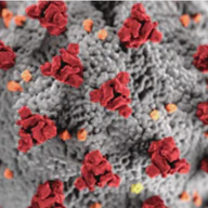 Visualizing COVID-19 Cases & Deaths with a Live R Shiny Dashboard